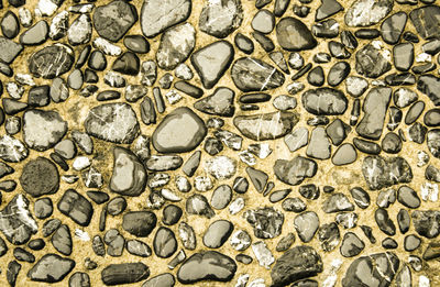 Full frame shot of stone wall