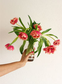 Close-up of hand holding bouquet against white background