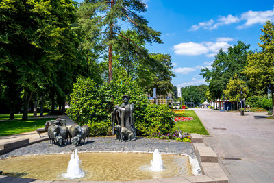 View of a horse in park