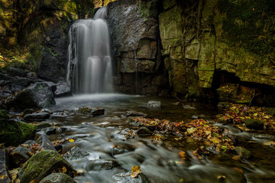 Scenic view of waterfall in forest