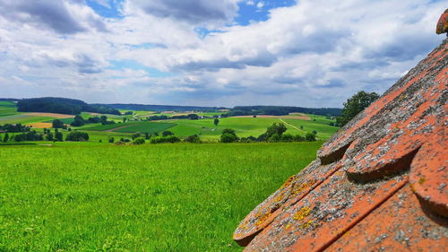 Scenic view of agricultural field against sky