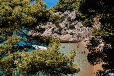 High angle view of trees by lake