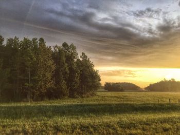 Scenic view of grassy field against cloudy sky