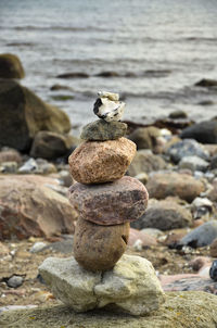 Rocks on beach