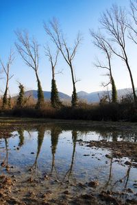Scenic view of lake against clear sky