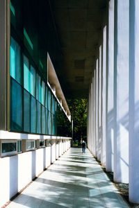 Man walking under bridge