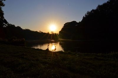 Sun shining over lake