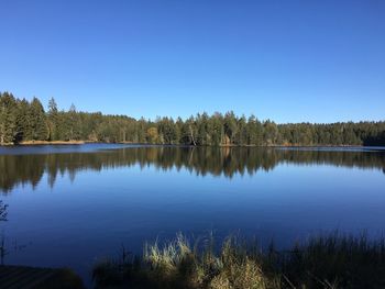 Scenic view of lake against clear blue sky