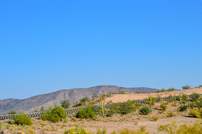Scenic view of field against clear blue sky