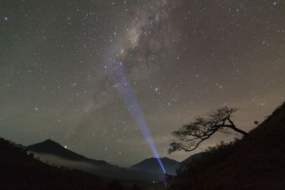 Low angle view of silhouette trees against sky at night