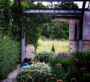 View of flowering plants in garden