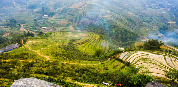 High angle view of agricultural field