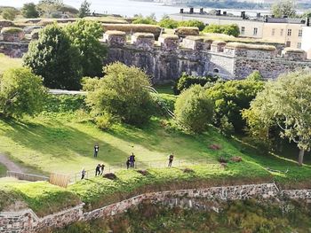 People on green grass against trees