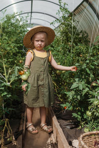 A little girl in a straw hat is picking tomatoes in a greenhouse. harvest concept.