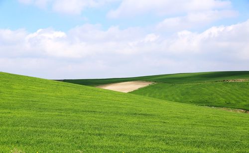 Scenic view of landscape against sky