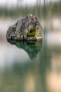 Close-up of rock in lake
