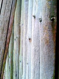 Full frame shot of wooden surface