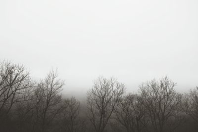 Low angle view of bare trees against clear sky