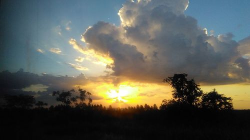 Silhouette trees against sky during sunset