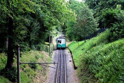 Train on railroad track amidst trees