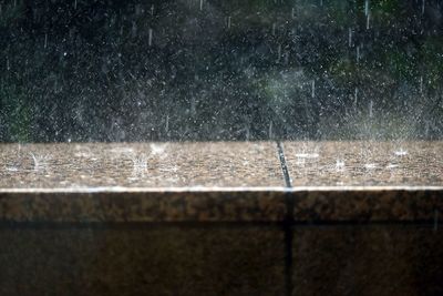 Close-up of water drops on leaf
