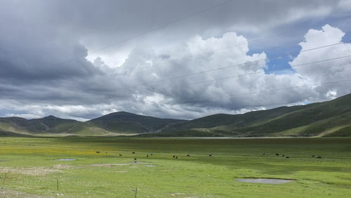 environment