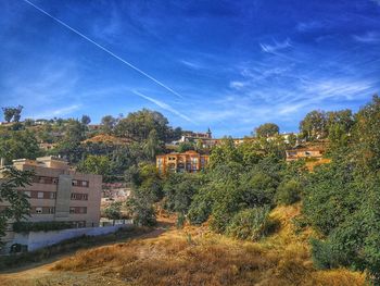 Trees and houses against blue sky