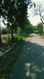 Empty road passing through forest