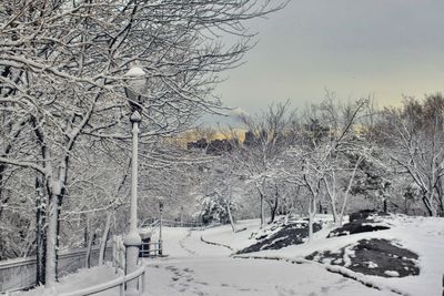 Snow covered landscape