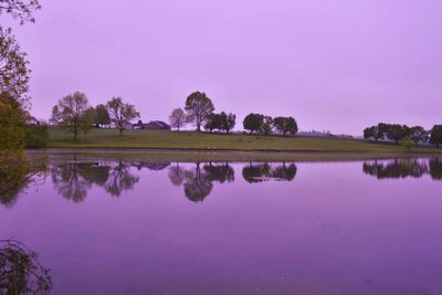 Reflection of trees in calm lake