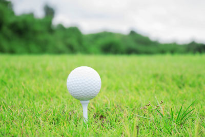 Close-up of ball on grass