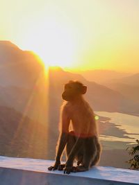 Two cats sitting on mountain against sky during sunset