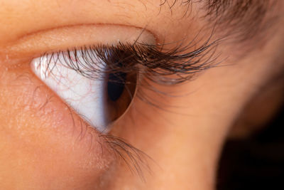 Close-up of human eye