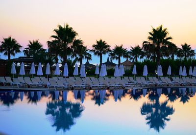 Reflection of palm trees in swimming pool against sky