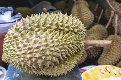 Close-up of succulent plant for sale in market