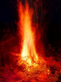 Close-up of bonfire at night