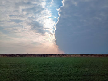 Scenic view of field against sky