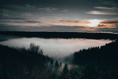 Scenic view of forest against sky during sunset