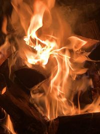 Close-up of bonfire at night