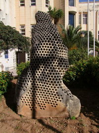 View of a cat sitting outside building