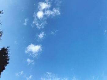 Low angle view of blue sky