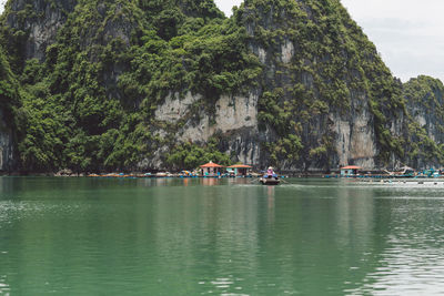 Trees on mountain at halong bay