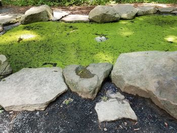 High angle view of stones in park