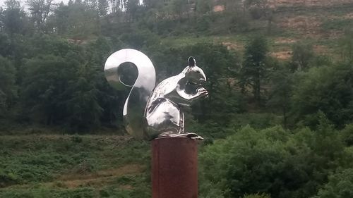 Horse on field against trees