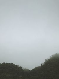 Trees on mountain against sky