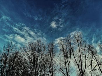 Low angle view of bare trees against cloudy sky