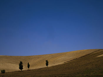 Scenic view of field against clear blue sky