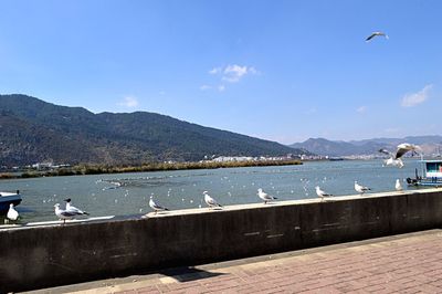 Calm sea with mountain range in background