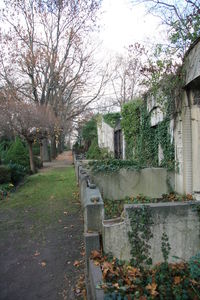 Built structure with trees in background