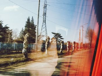 Road by trees in city against sky